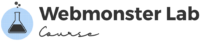 Logo - Webmonster Lab Course